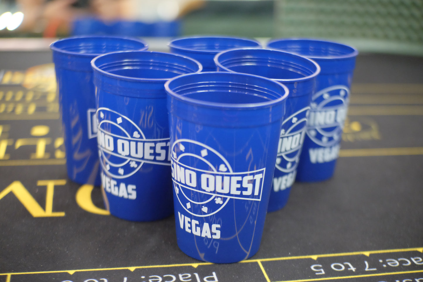 Casino Quest Official Beer Pong Set