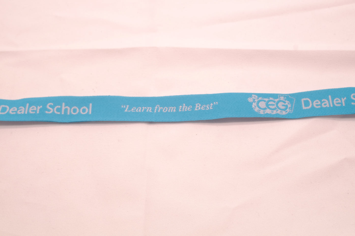 CEG Lanyard Teal x White